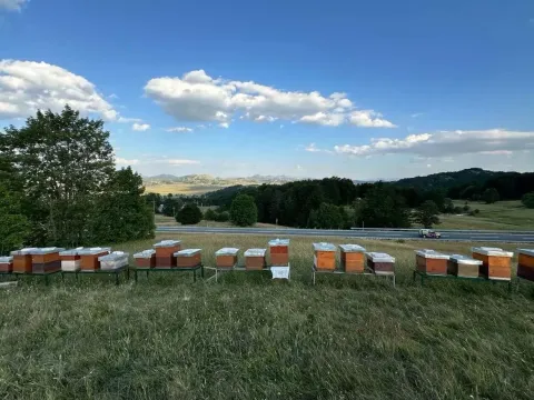 Prodaja, plac, 950m², Žabljak, Crna Gora - image 5