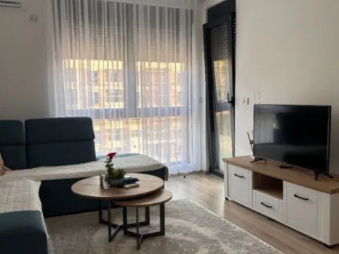 Izdavanje, jednosoban stan, 45m², Ulcinjsko Polje, Ulcinj - image 9