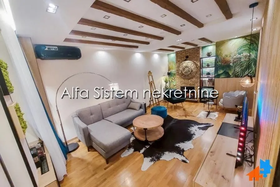 Izdavanje, dvosoban stan, 50m², Novi Beograd Blok 67, Novi Beograd Sve Podlokacije