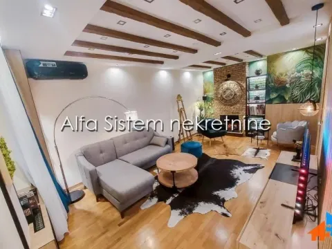 Izdavanje, dvosoban stan, 50m², Novi Beograd Blok 67, Novi Beograd Sve Podlokacije