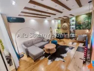 Izdavanje, dvosoban stan, 50m², Novi Beograd Blok 67, Novi Beograd Sve Podlokacije - image 1