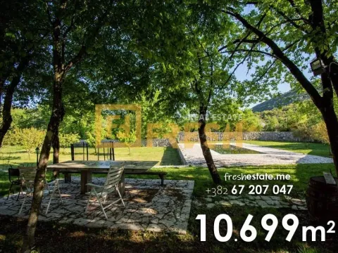 Prodaja, kuća, 10699m², Ostalo, Podgorica - image 9