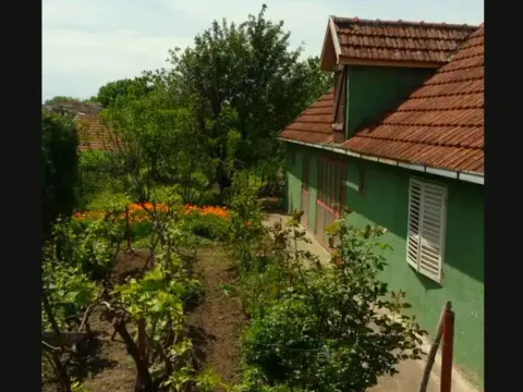 Prodaja, kuća, 240m², Titel, Novi Sad - image 15