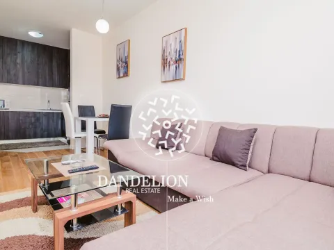 Izdavanje, jednosoban stan, 40m², Central Point, Podgorica - image 5