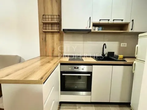 Izdavanje, stan, 36m², Zabjelo, Podgorica - image 9