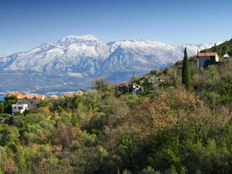 Sale, land lot, 1774m², Herceg Novi, Crna Gora - image 9