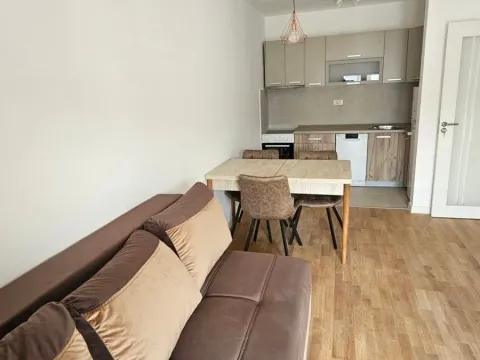 Rent, one bedroom apartment, 41m², Stari Aerodrom, Podgorica - image 2