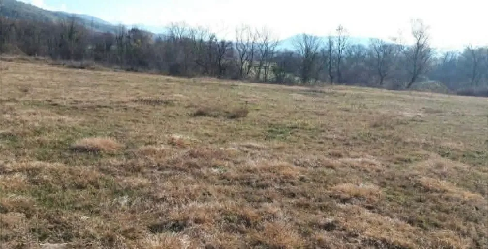 Prodaja, plac, 2000m², Pričelje, Podgorica