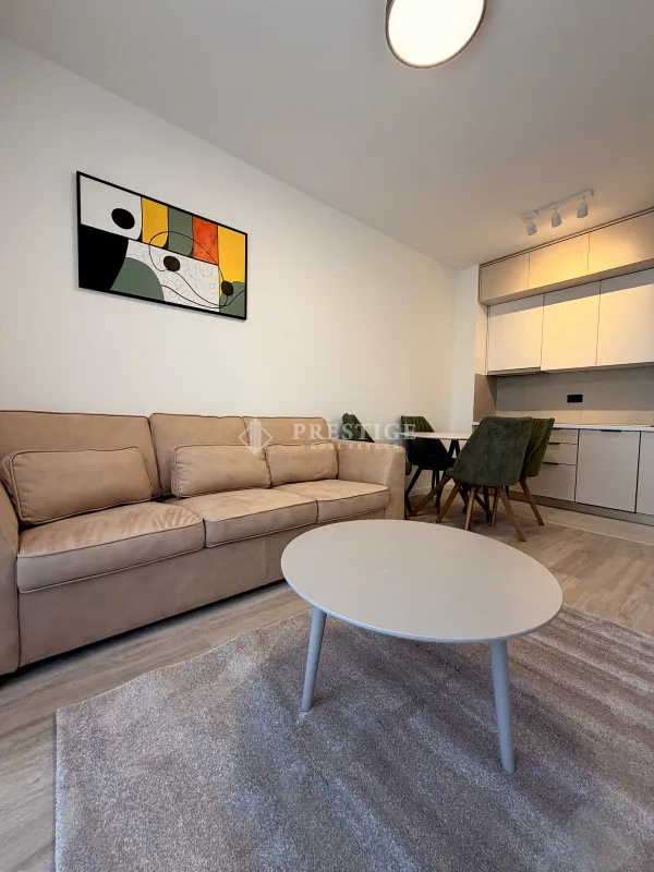 Rent, one bedroom apartment, 35m², Zabjelo, Podgorica