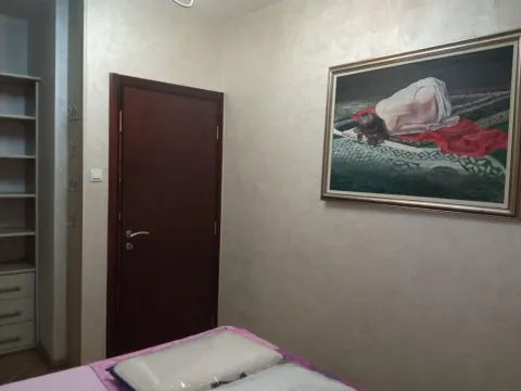 Izdavanje, jednosoban stan, 55m², Preko Morače, Podgorica - image 11