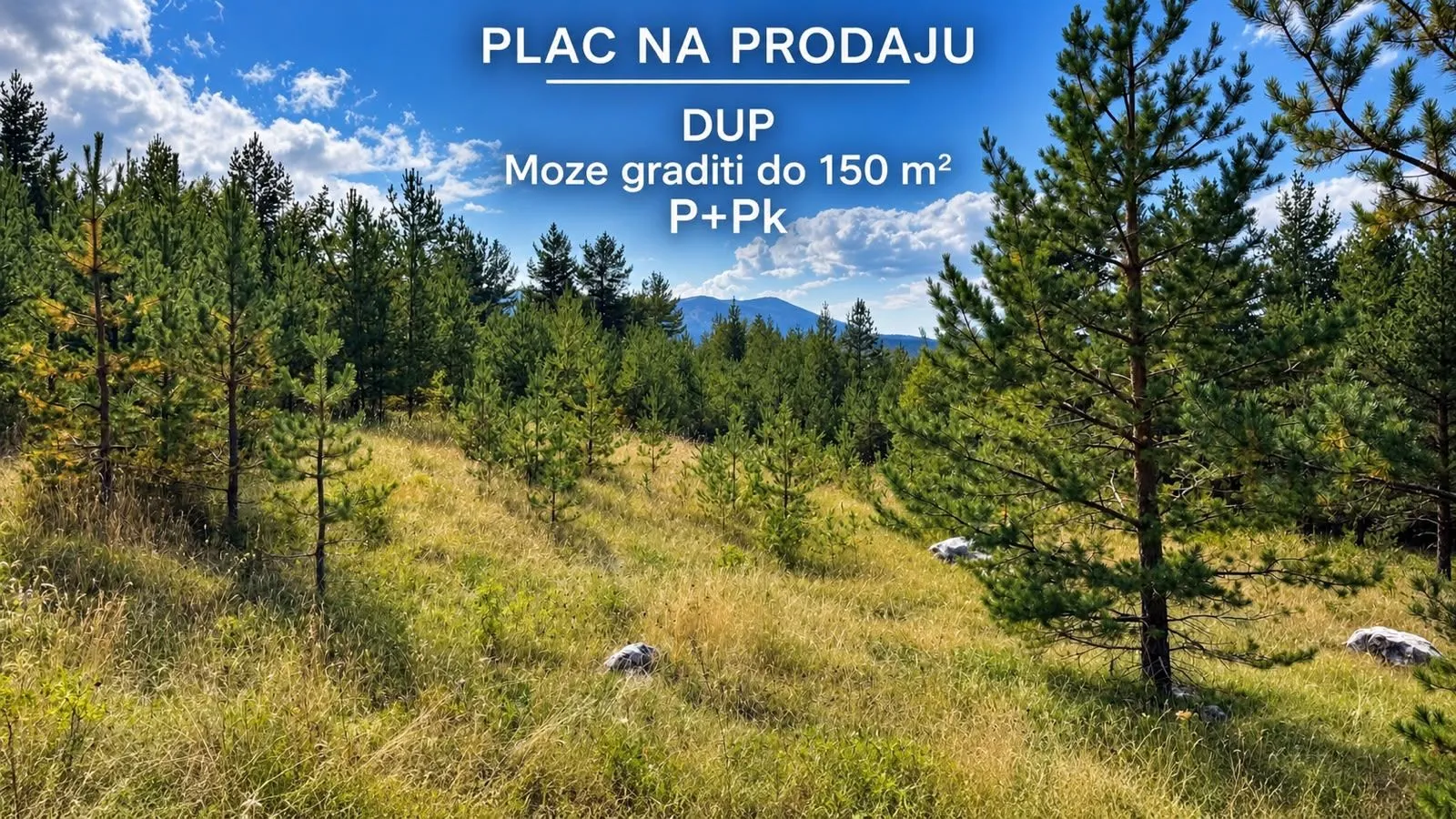 Zelenom površinom obrastao plac sa četinarskim rastinjem i pogledom na prirodu.