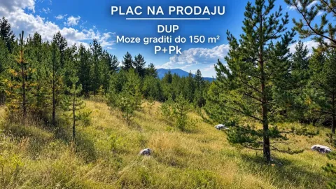 Zelenom površinom obrastao plac sa četinarskim rastinjem i pogledom na prirodu. - image 2