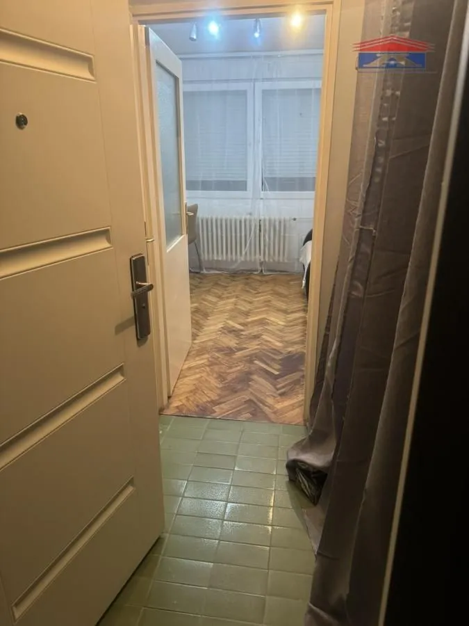 Izdavanje, jednosoban stan, 32m², Detelinara, Novi Sad Sve Podlokacije