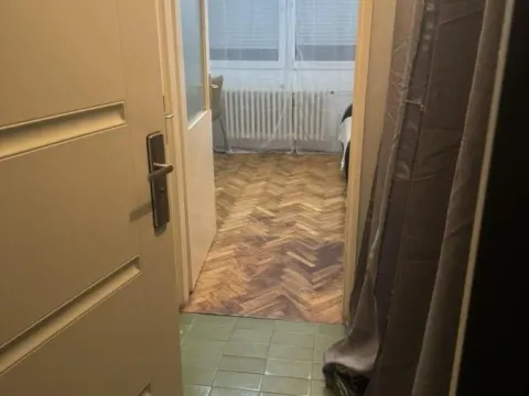 Izdavanje, jednosoban stan, 32m², Detelinara, Novi Sad Sve Podlokacije - image 13