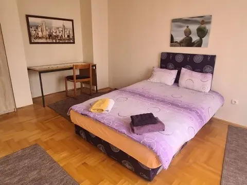 Izdavanje, jednosoban stan, 50m², Zvezdara Sve Podlokacije, Beograd - image 5