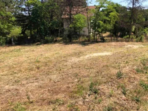 Sale, land lot, 1300m², Usije, Golubac - image 6