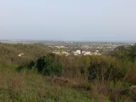 Sale, land lot, 10700m², Kolomza, Ulcinj - image 5