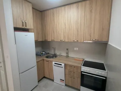 Izdavanje, jednosoban stan, 50m², Central Point, Podgorica - image 7
