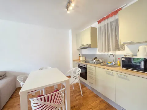 Izdavanje, jednosoban stan, 47m², Pržno, Budva - image 13