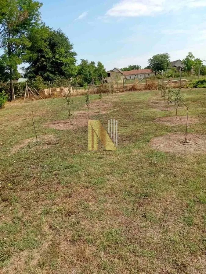 Prodaja, kuća, 170m², Vrbas, Novi Sad