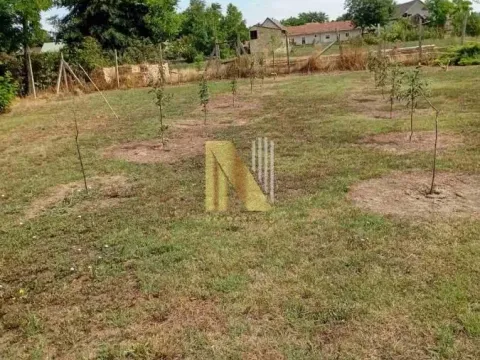 Prodaja, kuća, 170m², Vrbas, Novi Sad - image 4