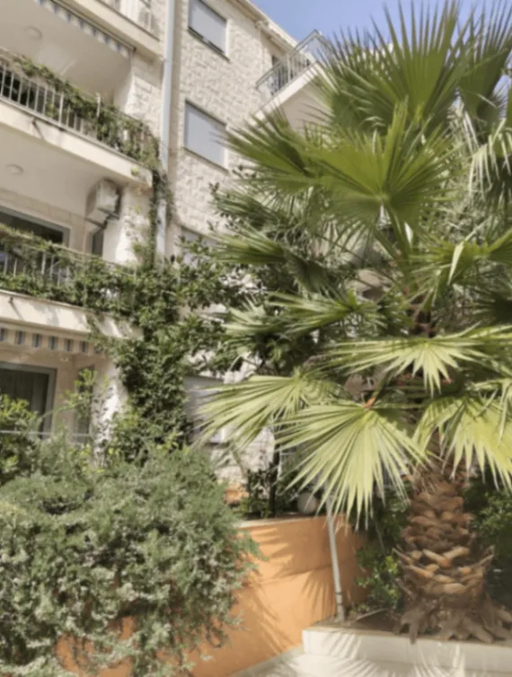 Sale, apartment, 45m², Petrovac, Budva