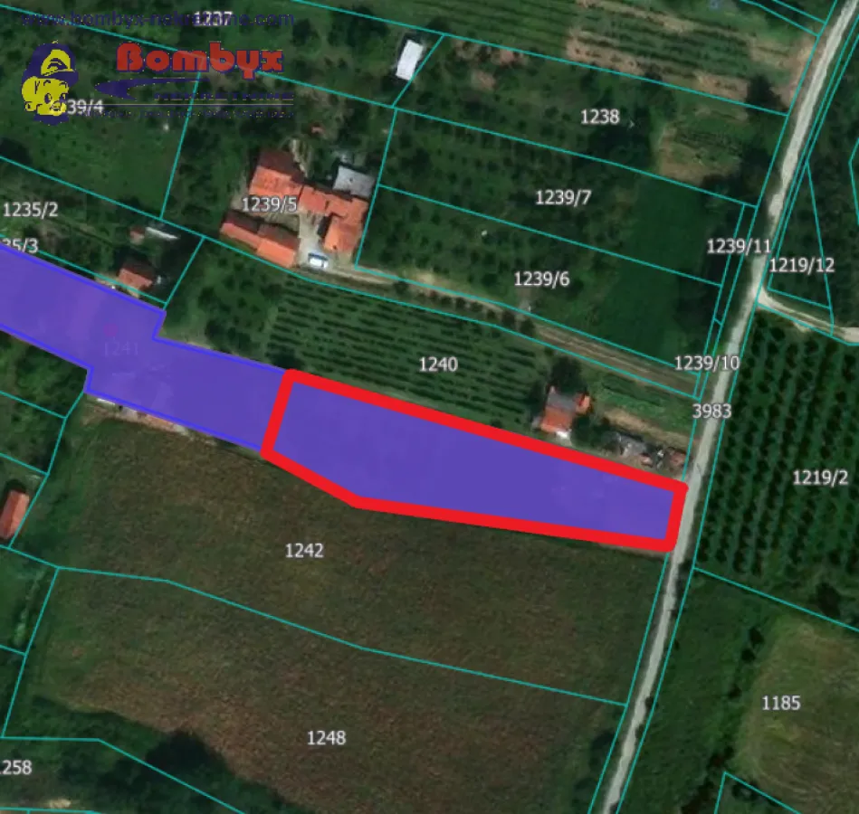 Prodaja, plac, 1700m², Sremska Kamenica, Petrovaradin