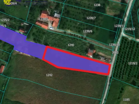Sale, land lot, 1700m², Sremska Kamenica, Petrovaradin - image 6