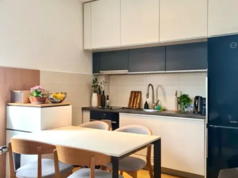 Izdavanje, jednosoban stan, 45m², Blok 9, Podgorica - image 6