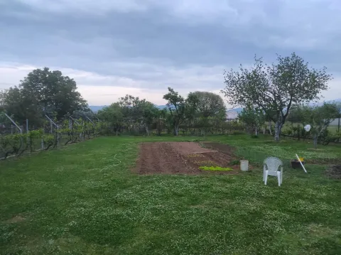 A spacious yard with a lawn, trees, and a small garden plot. - image 13
