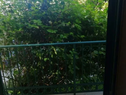 Sale, house, 287m², Lazi, Budva - image 6