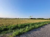 Prodaja, plac, Jakovo, Surčin - image 9