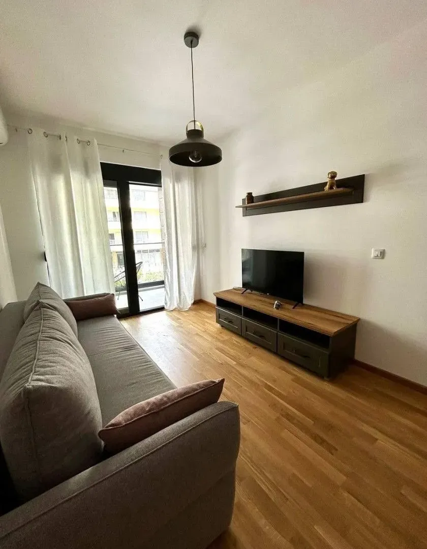 Rent, one bedroom apartment, 48m², Rozino, Budva