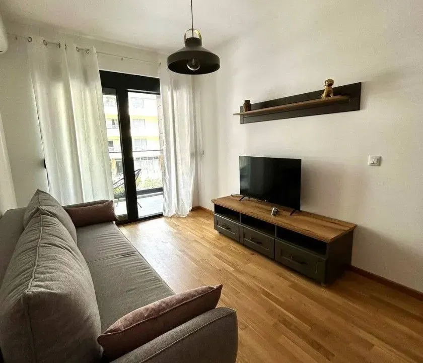 Rent, one bedroom apartment, 48m², Rozino, Budva