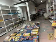 Prodaja, poslovni prostor, 127m², Botanička Bašta, Palilula Sve Podlokacije - image 11