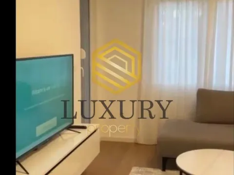 Rent, one bedroom apartment, 46m², Zabjelo, Podgorica - image 5