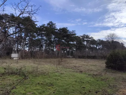 Prodaja, kuća, 157m², Palić, Subotica - image 19