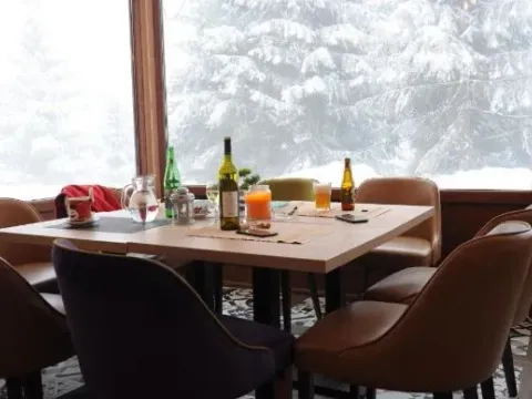 Sale, studio apartment, 18m², Brzeće, Kopaonik - image 12