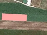 Prodaja, plac, 2600m², Zemun Sve Podlokacije, Beograd - image 3