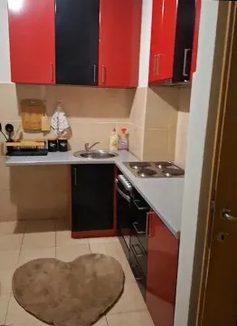 Rent, one bedroom apartment, 45m², Podgorica, Crna Gora - image 4