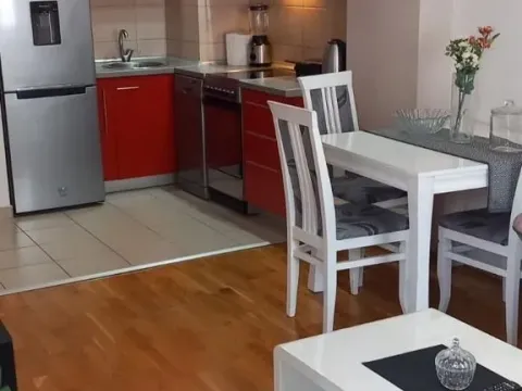 Rent, one bedroom apartment, 42m², Vezirov Most, Podgorica - image 3