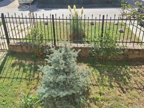 Prodaja, kuća, 360m², Veternik, Novi Sad Sve Podlokacije - image 16