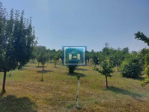 Sale, land lot, 64m², Paraćin, Srbija