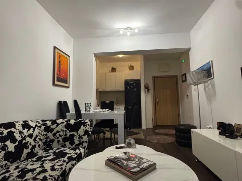 Izdavanje, jednosoban stan, 48m², Vezirov Most, Podgorica - image 15