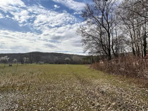 Prodaja, plac, 3500m², Novo Selo, Danilovgrad - image 4