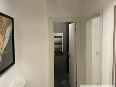 Prodaja, dvosoban stan, 65m², Vračar Centar, Vračar Sve Podlokacije - image 15