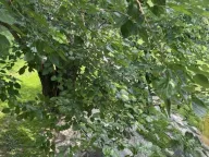 Izdavanje, kuća, 160m², Savski Venac, Beograd - image 7