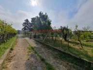 Prodaja, kuća, 318m², Vrbovno, Lazarevac - image 4