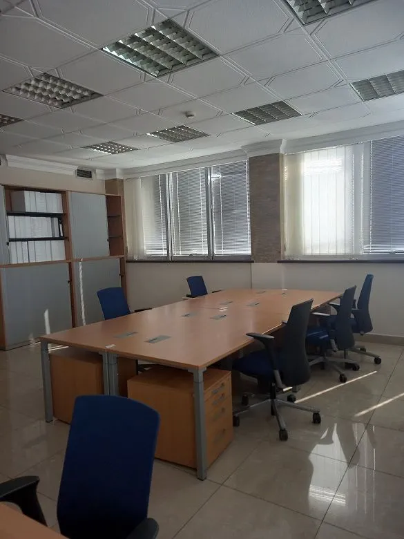Rent, office space, 215m², Botanička Bašta, Palilula Sve Podlokacije