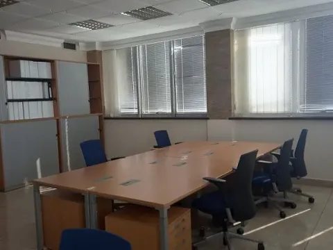 Izdavanje, poslovni prostor, 215m², Botanička Bašta, Palilula Sve Podlokacije - image 4